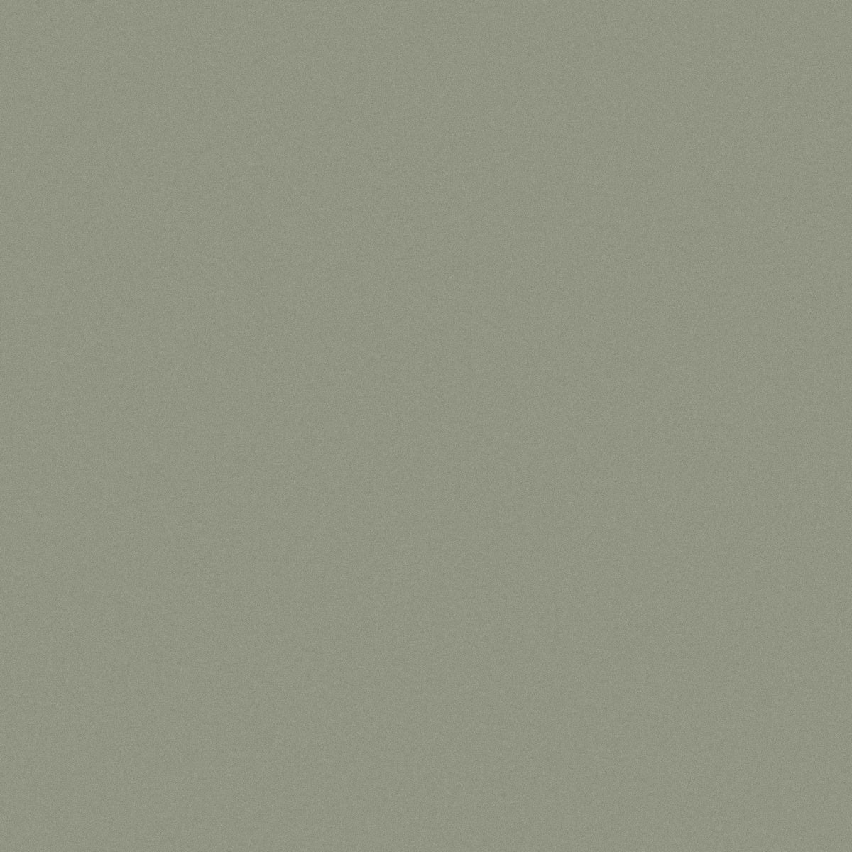 BW8148C