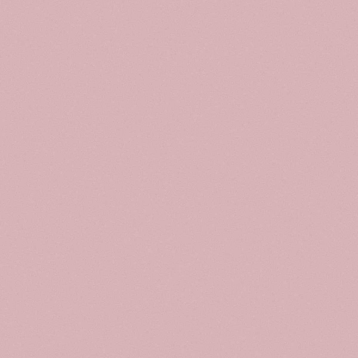 BW151C