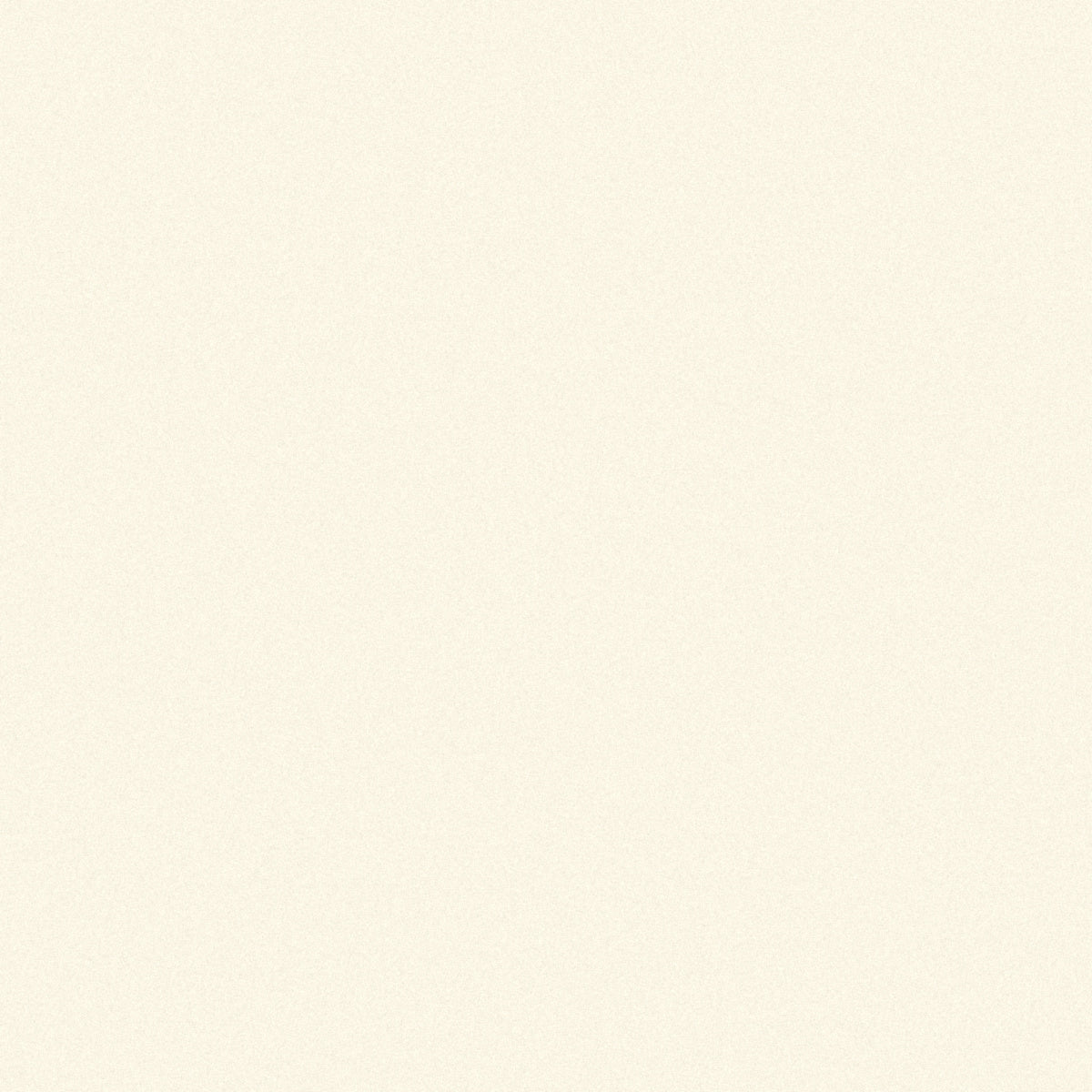 BW8251C