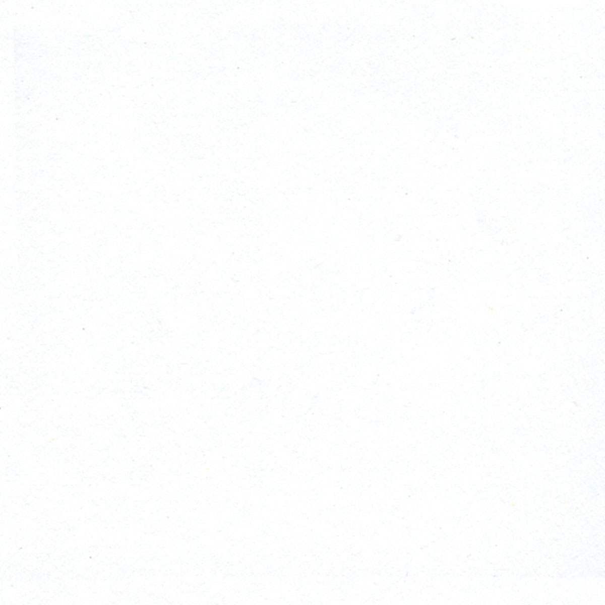 BW461C