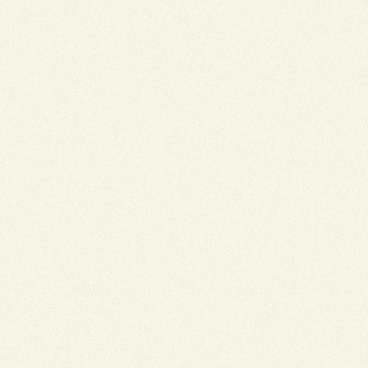 BW504C