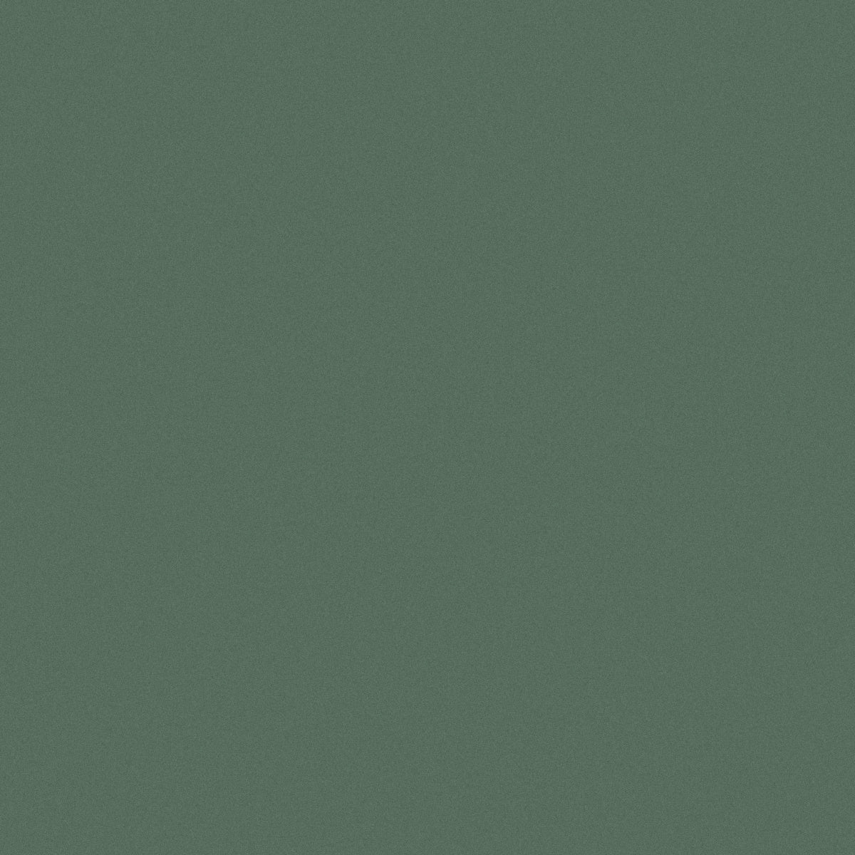BW524C