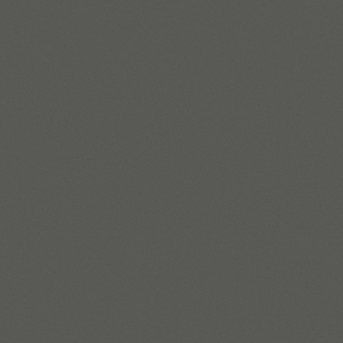 BW569C