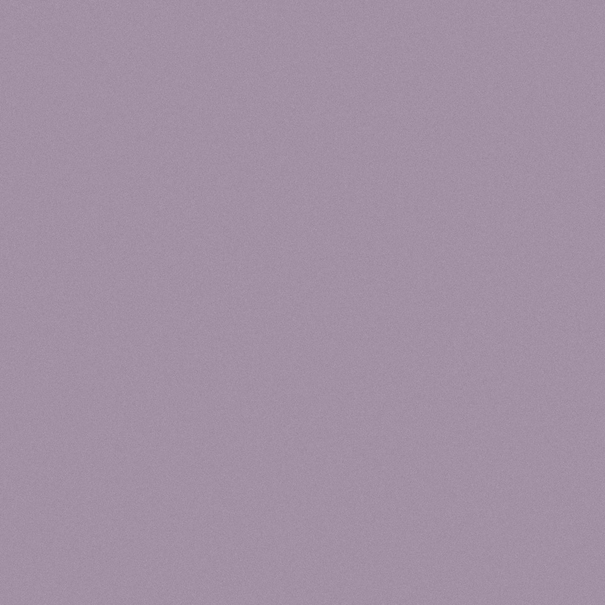 BW84C