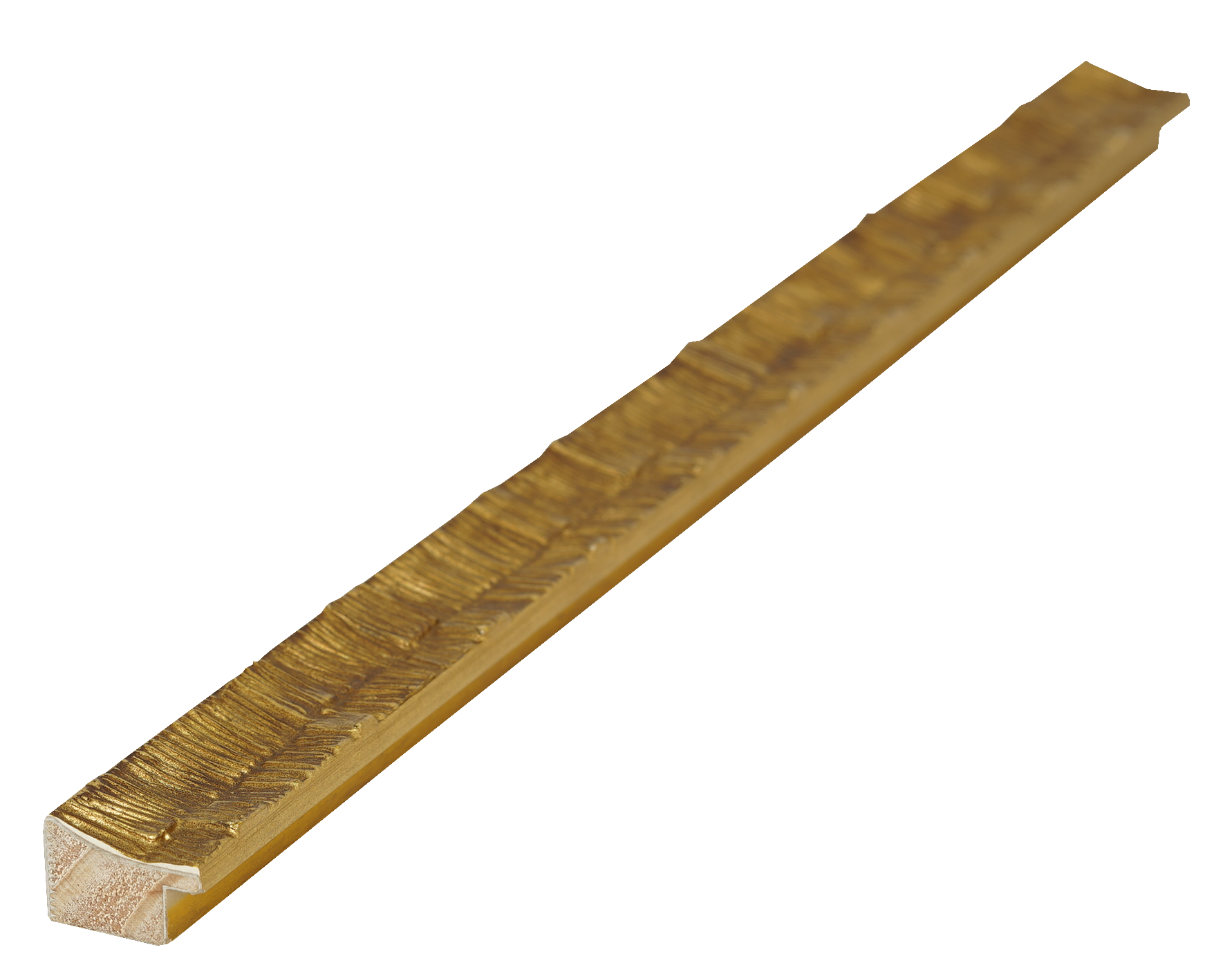 STY:E110143