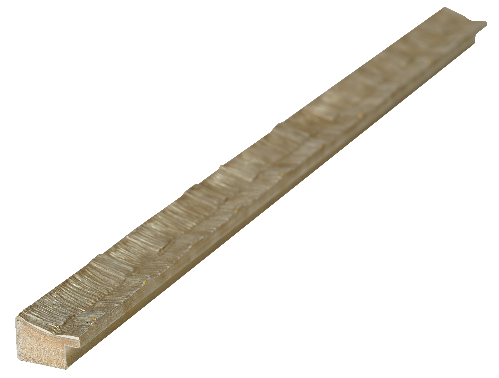 STY:E110144