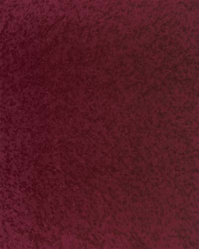 4149B