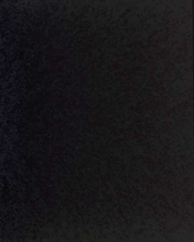 4165B4060