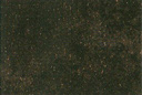 9739C