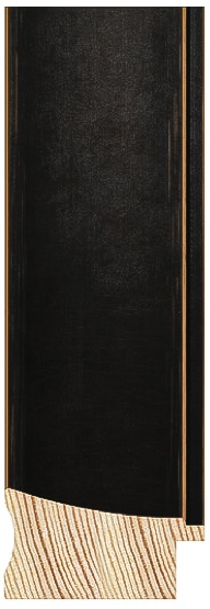 STY:NC18804